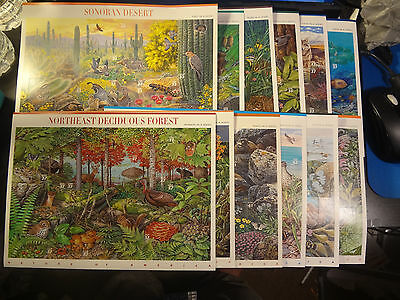 A Complete Set Of 12 Nature Of America Stamp Sheets
