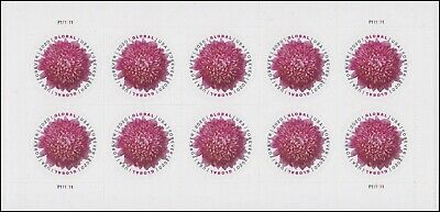 Us 5460 Chrysanthemum Global Forever Sheet (10 Stamps) Mnh 2020